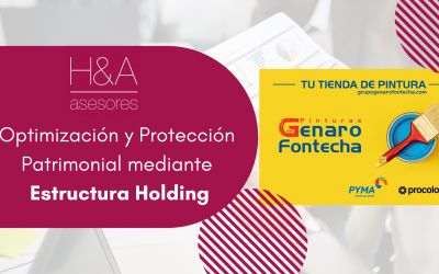Optimización y Protección Patrimonial mediante Estructura Holding